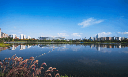 yh818����(�й�)���޹�˾